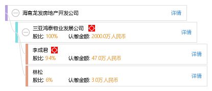 海南龍發(fā)房地產(chǎn)開(kāi)發(fā)公司 企業(yè)信息綜合查詢與房地產(chǎn)咨詢指南